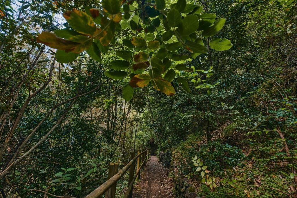 Appartamento La Buhardilla Moya  Esterno foto